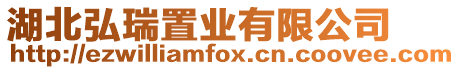 湖北弘瑞置業有限公司