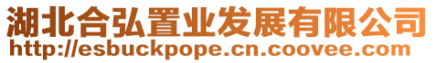湖北合弘置業(yè)發(fā)展有限公司