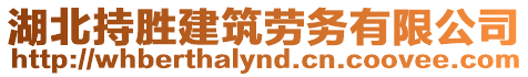湖北持勝建筑勞務有限公司