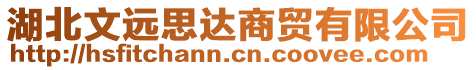 湖北文遠(yuǎn)思達(dá)商貿(mào)有限公司