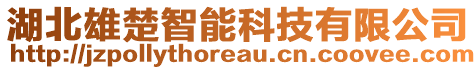 湖北雄楚智能科技有限公司