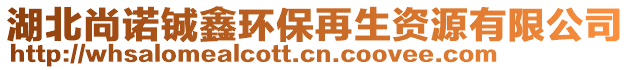 湖北尚諾鋮鑫環(huán)保再生資源有限公司