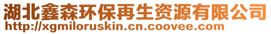 湖北鑫森環(huán)保再生資源有限公司