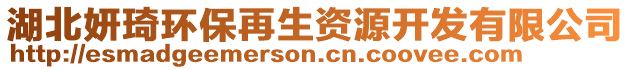 湖北妍琦環(huán)保再生資源開發(fā)有限公司