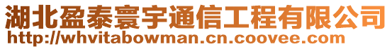 湖北盈泰寰宇通信工程有限公司