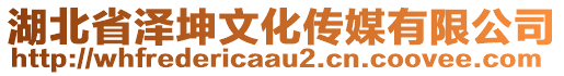 湖北省澤坤文化傳媒有限公司