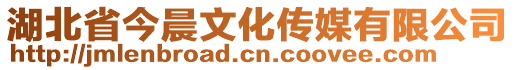 湖北省今晨文化傳媒有限公司