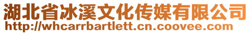 湖北省冰溪文化傳媒有限公司