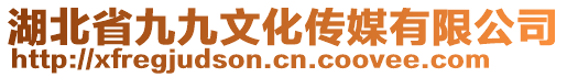 湖北省九九文化傳媒有限公司