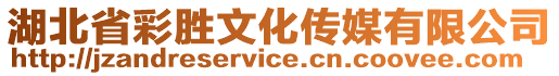 湖北省彩勝文化傳媒有限公司