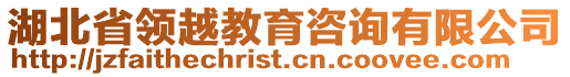 湖北省領(lǐng)越教育咨詢有限公司