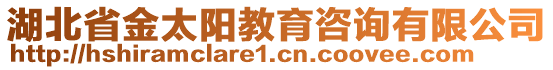 湖北省金太陽教育咨詢有限公司