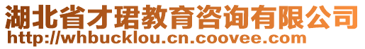 湖北省才珺教育咨詢有限公司