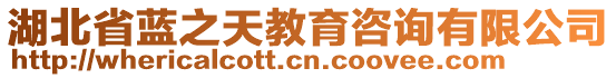 湖北省藍(lán)之天教育咨詢(xún)有限公司