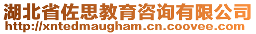 湖北省佐思教育咨詢有限公司