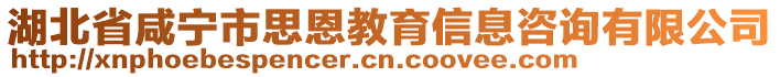 湖北省咸寧市思恩教育信息咨詢有限公司