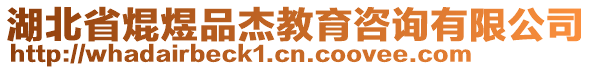 湖北省焜煜品杰教育咨詢有限公司