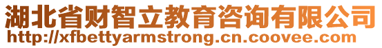 湖北省財智立教育咨詢有限公司