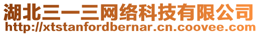 湖北三一三網絡科技有限公司