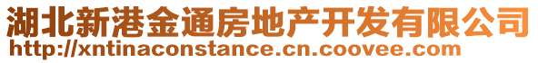 湖北新港金通房地產開發(fā)有限公司