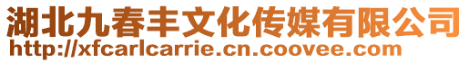 湖北九春豐文化傳媒有限公司