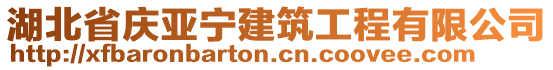 湖北省慶亞寧建筑工程有限公司