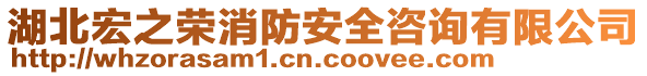 湖北宏之榮消防安全咨詢有限公司