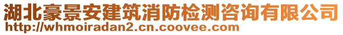 湖北豪景安建筑消防檢測咨詢有限公司