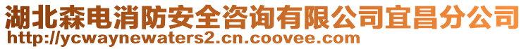 湖北森電消防安全咨詢有限公司宜昌分公司