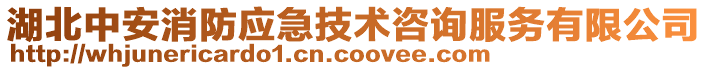 湖北中安消防應急技術咨詢服務有限公司