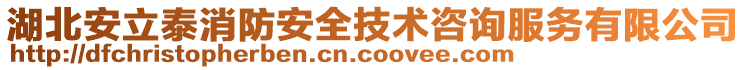 湖北安立泰消防安全技術(shù)咨詢服務(wù)有限公司