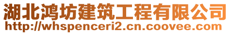 湖北鴻坊建筑工程有限公司