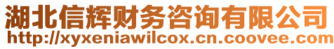 湖北信輝財(cái)務(wù)咨詢有限公司