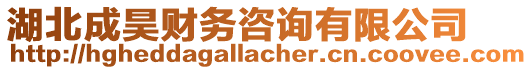 湖北成昊財(cái)務(wù)咨詢有限公司