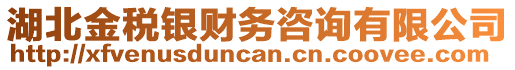 湖北金稅銀財務(wù)咨詢有限公司