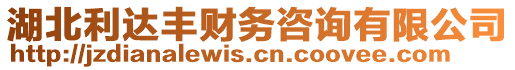 湖北利達(dá)豐財務(wù)咨詢有限公司