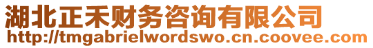 湖北正禾財務(wù)咨詢有限公司