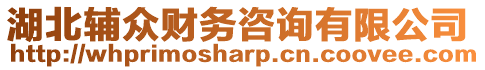 湖北輔眾財務(wù)咨詢有限公司