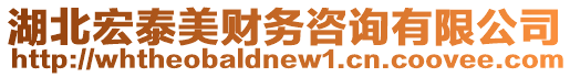 湖北宏泰美財(cái)務(wù)咨詢有限公司