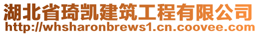 湖北省琦凱建筑工程有限公司