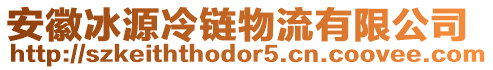 安徽冰源冷鏈物流有限公司