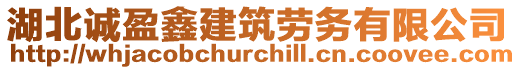 湖北誠(chéng)盈鑫建筑勞務(wù)有限公司