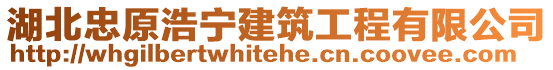 湖北忠原浩寧建筑工程有限公司