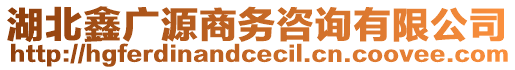 湖北鑫廣源商務(wù)咨詢有限公司