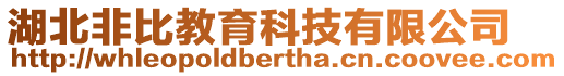 湖北非比教育科技有限公司