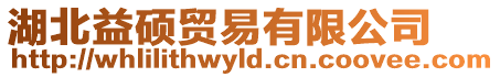 湖北益碩貿易有限公司