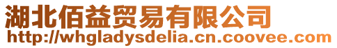 湖北佰益貿(mào)易有限公司