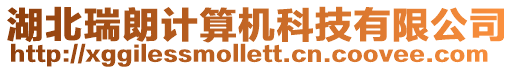 湖北瑞朗計算機科技有限公司