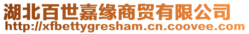 湖北百世嘉緣商貿有限公司