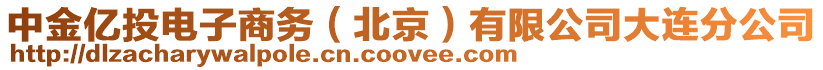 中金億投電子商務(北京)有限公司大連分公司